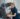 Cardiac Device Remote Monitoring Scheduling